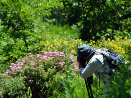 ホタル調査地点由加山で夏の花々を撮影中のスタッフ