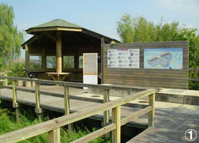 児島湖ふれあい野鳥親水公園　建物全景の写真
