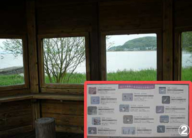児島湖ふれあい野鳥親水公園　野鳥観察舎の写真