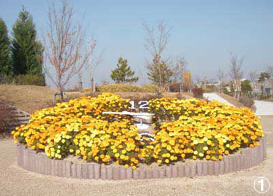 自然環境体験公園　花時計の写真