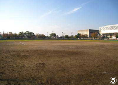 浦安総合公園　軟式野球場の写真