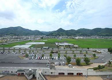 展望塔から眺めた山々や稲田の風景