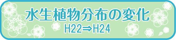 水生植物分布の変化 H22～H24