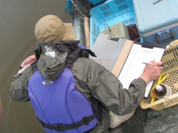 児島湖の船上で記録紙を持つ調査員