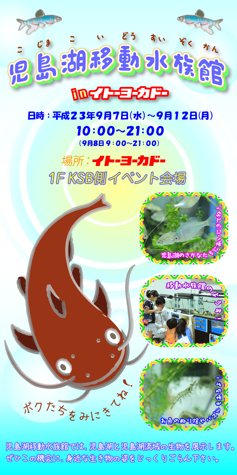 移動水族館イトーヨーカドー岡山店webポスター